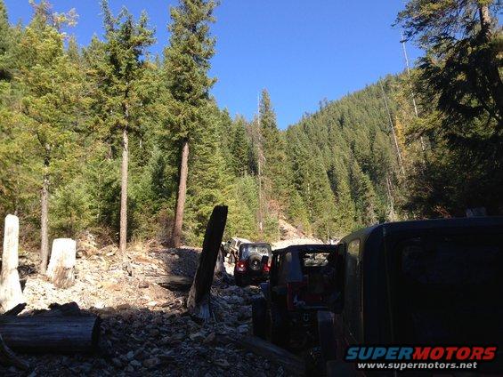 Several Jeeps driving on a rocky, wooded trail