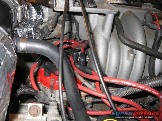 Close-up of red spark plug wires connected to a red distributor cap in an engine bay