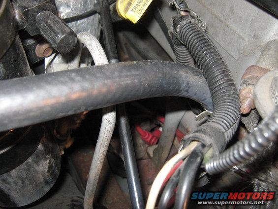 Close-up of engine bay wiring harness and hoses