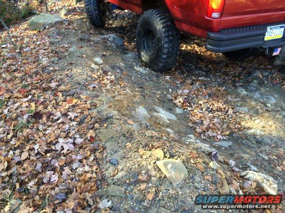 Rear view of red 1996 Ford F-150 on a rocky, leaf-strewn trail