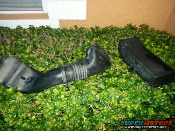 Black rubber air intake hose and plastic resonator box on green bushes
