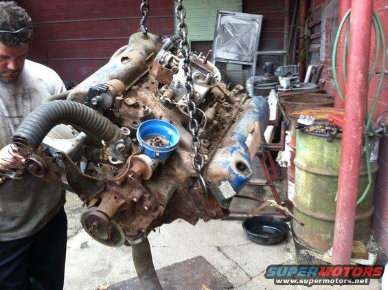 Man looking at a rusty V8 engine being lifted by chains. Engine has a blue distributor cap and a black hose