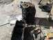 1978 Ford Bronco - Engine block and oil pan removed from a vehicle, resting on a concrete surface with tools nearby.