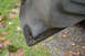 1989 Ford Bronco - The lower corner of a vehicle shows significant rust and damage, indicating wear and tear.