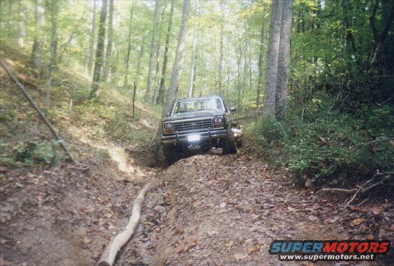 horiztrail.jpg ohhh THAT tree!