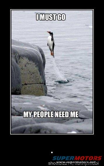 Penguin jumping into water with text 'I MUST GO MY PEOPLE NEED ME'