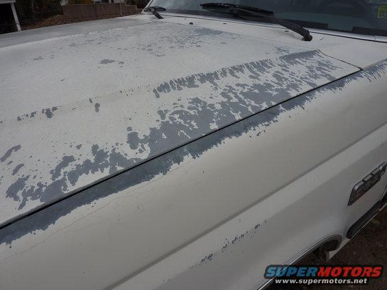White truck hood with peeling paint, showing primer underneath