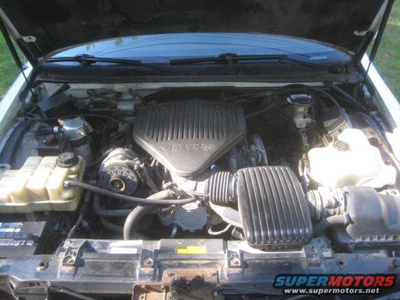 engine-bay-(1).jpg 