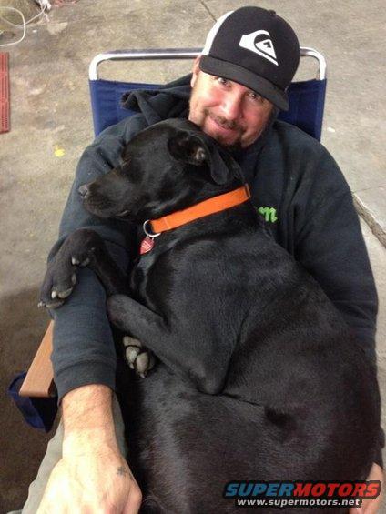 Man in a black hoodie and baseball cap holds a black dog with an orange collar