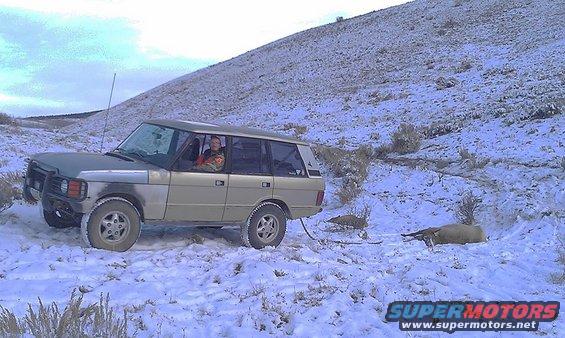 1991 Land Rover Range Rover towing a dead elk in the snow