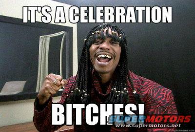Man with braids and beads, wearing a red patterned shirt, with text "IT'S A CELEBRATION BITCHE!" overlayed
