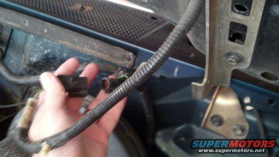 Hand holding a black electrical connector near a wire loom in an engine bay
