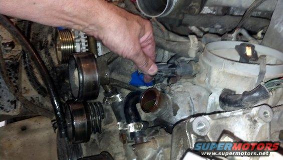 Hand disconnecting sensor in engine bay, near pulleys and hoses