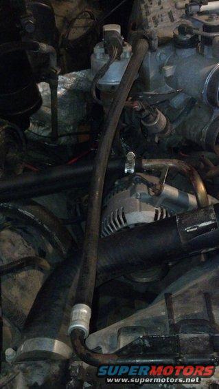 Engine bay detail showing alternator, hoses, and various engine components