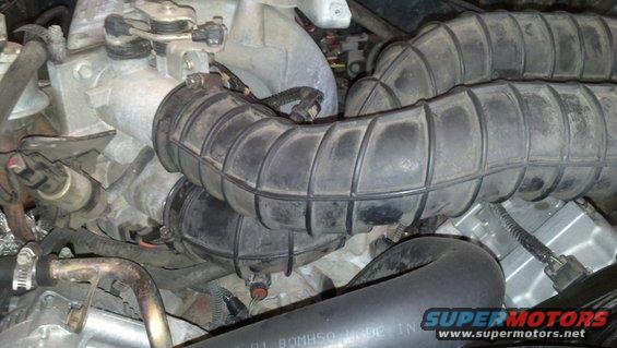 Engine intake hoses and throttle body assembly