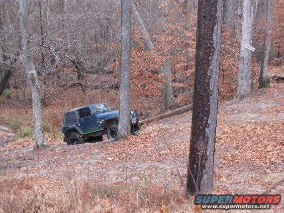 Blue Jeep Wrangler navigating a wooded trail