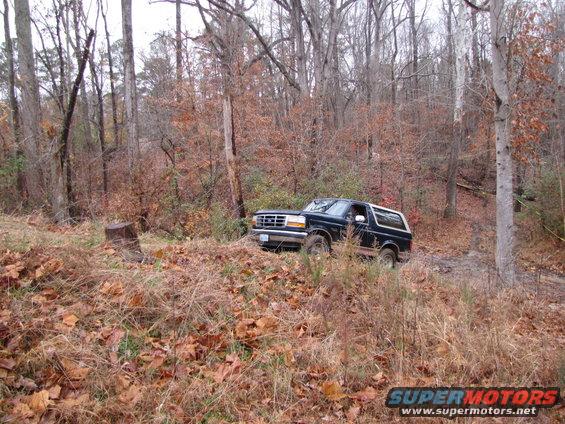 Dark blue Ford Bronco parked on a wooded trail with fallen leaves