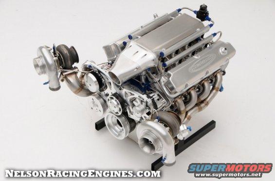 nellson-347tt.jpg