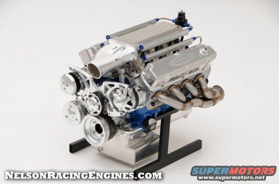 nellson-427.jpg 
