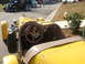 1971 Ford Ranchero - Interior view of a yellow vintage roadster, parked alongside other classic vehicles.