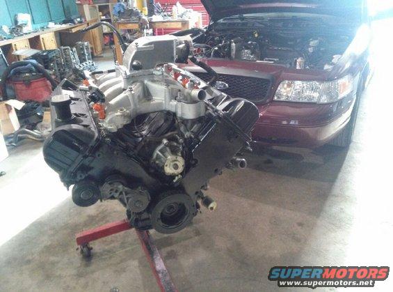 Baby getting a new heart beat.