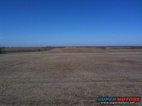 Wide view of a dry, grassy field under a bright blue sky with distant trees on the horizon