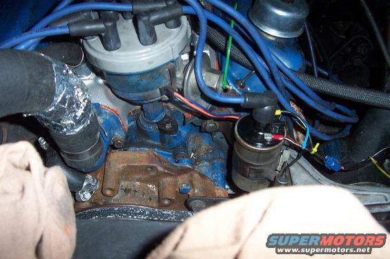 picture_2118.jpg 