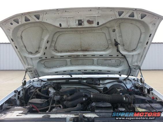 White vehicle engine bay with hood open, showing engine components and wiring