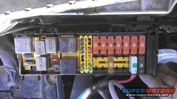 Ford fuse box with relays and various fuses, some labeled 40, 20, 30