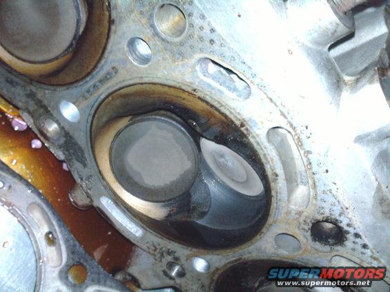 Close-up of an engine cylinder head showing two valves and combustion chambers. Some oil residue is visible