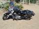 1998 Honda Shadow VT750C - A black motorcycle with a windshield and saddlebags is parked on a gravelly surface with some desert plants in the background.