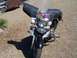 1998 Honda Shadow VT750C - Front view of a 1998 Honda Shadow VT750C motorcycle with a large black fairing and windshield.