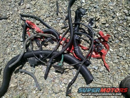 Engine wiring harness with red tape and black conduit