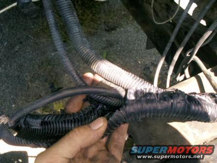 Hand holding damaged black corrugated engine wiring harness with visible wires