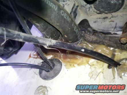 Engine bay hoses and wiring with yellow fluid leakage
