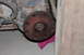 1995 Ford Bronco - Close-up of a rusty transfer case flange, part of a vehicle's drivetrain, with visible bolt holes and housing.