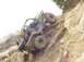 1992 Ford Bronco - An off-road vehicle is precariously positioned on a steep, rocky slope.