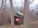 1992 Ford Bronco - An off-road vehicle navigates a challenging muddy trail in a wooded area.