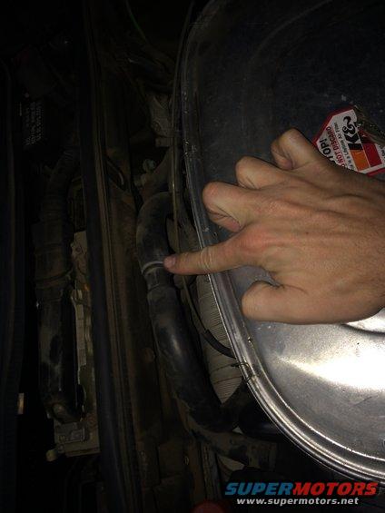 Hand pointing to hose in engine bay with K&N sticker