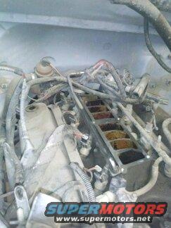 Engine bay with lots of wires and hoses. Looks like the intake manifold is exposed
