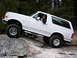 Bronco-1.jpg