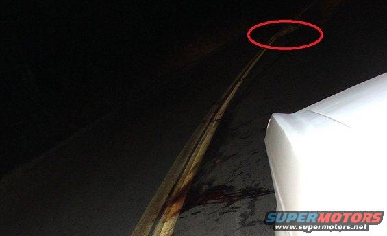 Deer carcass on road with blood splatter, viewed from above and behind a white vehicle