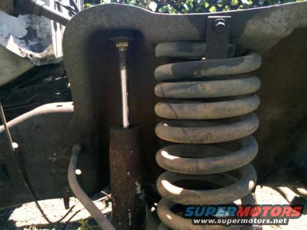 Front suspension coil spring and shock absorber
