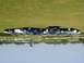 1993 Ford Mustang - Several police vehicles are lined up on a grassy field with a building and trees in the distance.