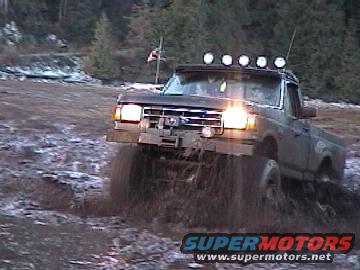 1990 Ford F-150 “Black Dog”