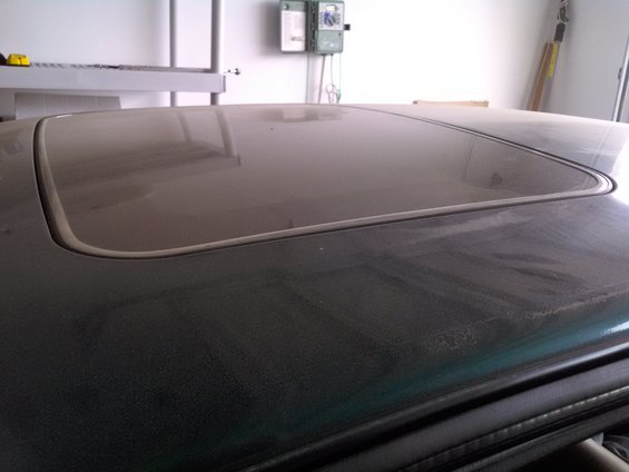 Green 1993 Ford Taurus sunroof covered in dust