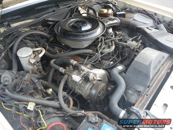 mikesmerc12.jpg 1984 Grand Marquis Germany 11
