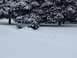 2003 Nissan Frontier - A silver pickup truck navigates through a snowy landscape with trees in the background.