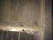 1964 Ford Ranchero - The underside of a vehicle bed shows signs of wear and tear, with visible rust and holes.