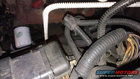 Close-up of engine wiring harness and a white oil filter